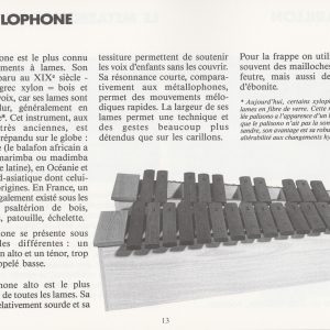 ouvrages-techniques-theoriques_le-geste-instrumental_extrait1